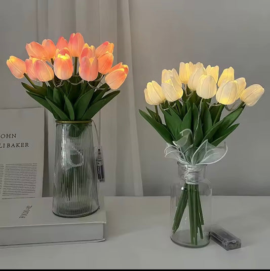 Tulipani LED