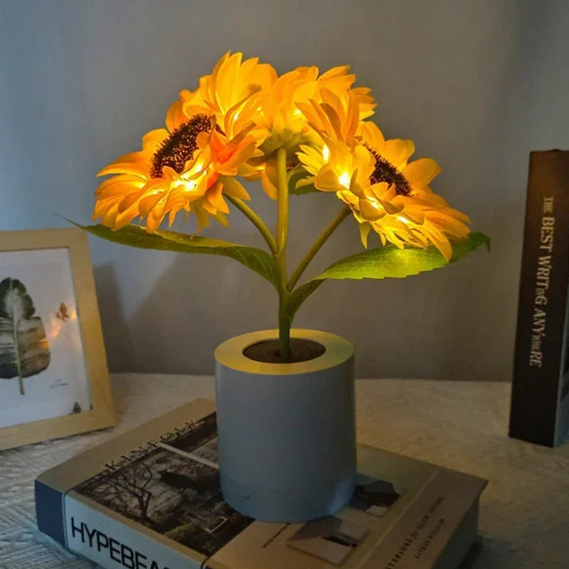 Girasole LED